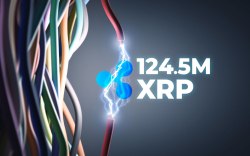 Ripple Wires 124.5 Mln XRP While Exchanges Move 92.6 Mln XRP